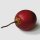 Tamarillo/ Tomate de árbol (Solanum betaceum) semillas