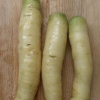 Zanahoria blanca “Blanche à Collet Vert” (Daucus carota) semillas