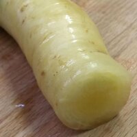 Zanahoria blanca “Blanche à Collet Vert” (Daucus carota) semillas