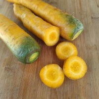 Zanahoria amarilla "Jaune Du Doubs" (Daucus carota) semillas