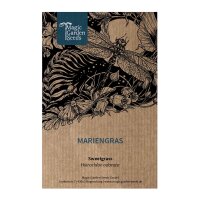 Hierba de búfalo / Sweetgrass (Hierochloe odorata) semillas