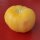 Tomate Pêche Jaune (Solanum lycopersicum) orgánico semillas