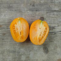 Tomate Orange Banana (Solanum lycopersicum)...