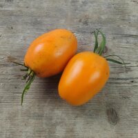 Tomate Orange Banana (Solanum lycopersicum) orgánico semillas