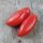 Tomate San Marzano (Solanum lycopersicum) semillas