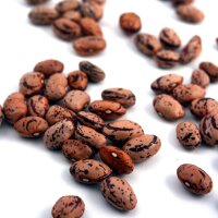 Judía "Borlotto Lingua Di Fuoco" (Phaseolus vulgaris) semillas