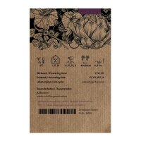 Apio caballar (Smyrnium olusatrum) semillas