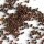 Tomillo (Thymus vulgaris) semillas