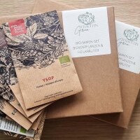 Fräulein Grün – Organic Seed Kit Bee plants & medicinal herbs