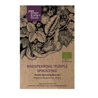 Brócoli violeta Purple Sprouting (Brassica...