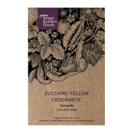 Calabacín  "Yellow Crookneck" (Cucurbita pepo) semillas