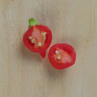 Chile  Biquinho (Capsicum chinense ) semillas