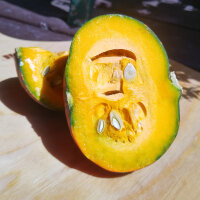 Calabaza / potimarrón Golden Nugget (Cucurbita maxima)  semillas