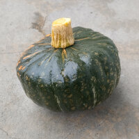 Calabaza/ potimarrón Buttercup (Cucurbita maxima)...