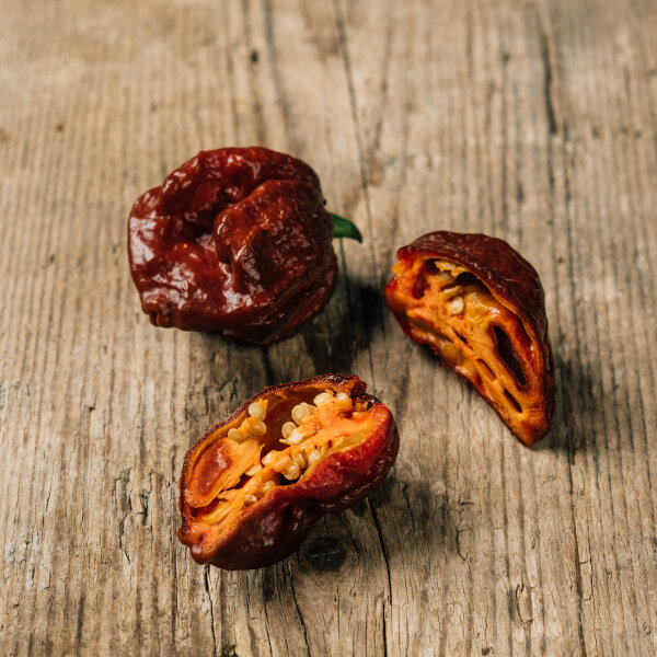Pimiento Trinidad Scorpion Chocolate (Capsicum chinense) semillas