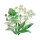 Herb Pasture Mix (Organic) – approximately 30 g, sufficient for 10 m²