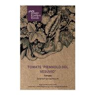 Tomate Piennolo del Vesuvio (Solanum lycopersicum) semillas