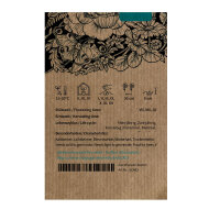 Escabiosa amarilla (Scabiosa ochroleuca) semillas