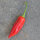 Chilli Pepper Aji Delight (Capsicum baccatum) organic seeds <ai>