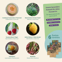 Fruit Garden – melons, strawberries & more...