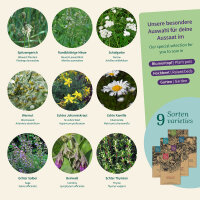 Traditional Monastery Herbs: Heritage Varieties for...