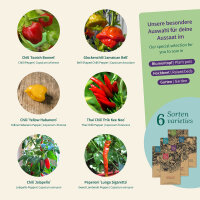 Chilli Festival from mild to hot – Seed kit No.6