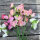 Guisante de olor rosa pálido ‘Mollie Rilstone’ (Lathyrus odoratus) semillas