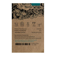 Zinnia Envy (Zinnia elegans) semillas