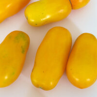 Tomate amarilla de mata baja Banana Legs (Solanum...