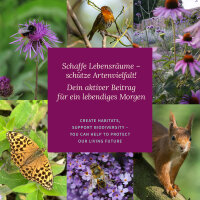 Semillas raras para tu jardín – Set de semillas nº 2