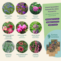 Balcony Flowers to grow from seed – Seed kit No.4