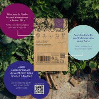 Balcony Flowers to grow from seed – Seed kit No.4