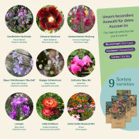 Flores del jardín de la abuela – Set de...