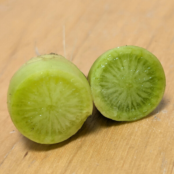 Rábano verde asiático Green Luobo (Raphanus sativus) semillas