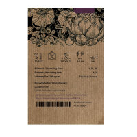 Rábano verde asiático Green Luobo (Raphanus sativus) semillas