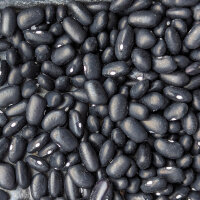 Frijol tépari Black Mitla (Phaseolus acutifolius)  semillas