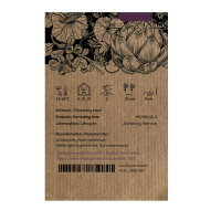 Apio rosado ‘Chinese Pink’ (Apium graveolens) semillas ecológicas