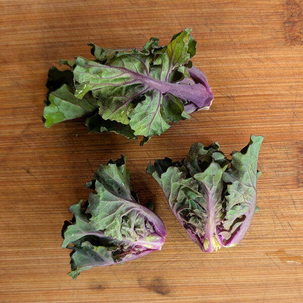 Brotes de col rizada (Brassica oleracea var. gemmifera x sabellica) semillas