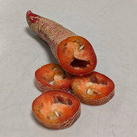 Pimiento Elefant (Capsicum annuum) – Semillas ecológicas