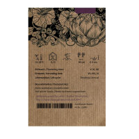 Pimiento dulce Sweet Chocolate (Capsicum annuum) semillas