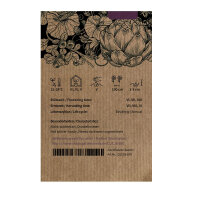 Melón reticulado Petit gris de Rennes (Cucumis melo) semillas ecológicas