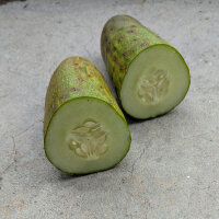 Pepino tipo malla Salome (Cucumis sativus) semillas ecológicas