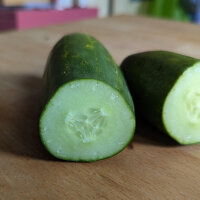 Pepino tipo malla Salome (Cucumis sativus) semillas ecológicas