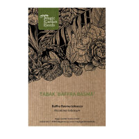 Tabaco ‘Baffra Basma’ (Nicotiana tabacum) semillas