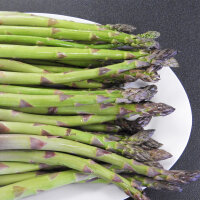 Espárrago violeta Argenteuil (Asparagus officinalis) semillas ecológicas