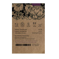 Espárrago violeta Argenteuil (Asparagus officinalis) semillas ecológicas