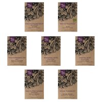 Verduras violetas - kit de semillas regalo