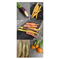 Zanahorias de colores - kit regalo de semillas