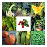 Hortalizas orgánicas - Kit regalo de semillas