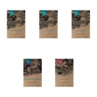 Colección de flores de pradera de verano - Semillas-Set de regalo